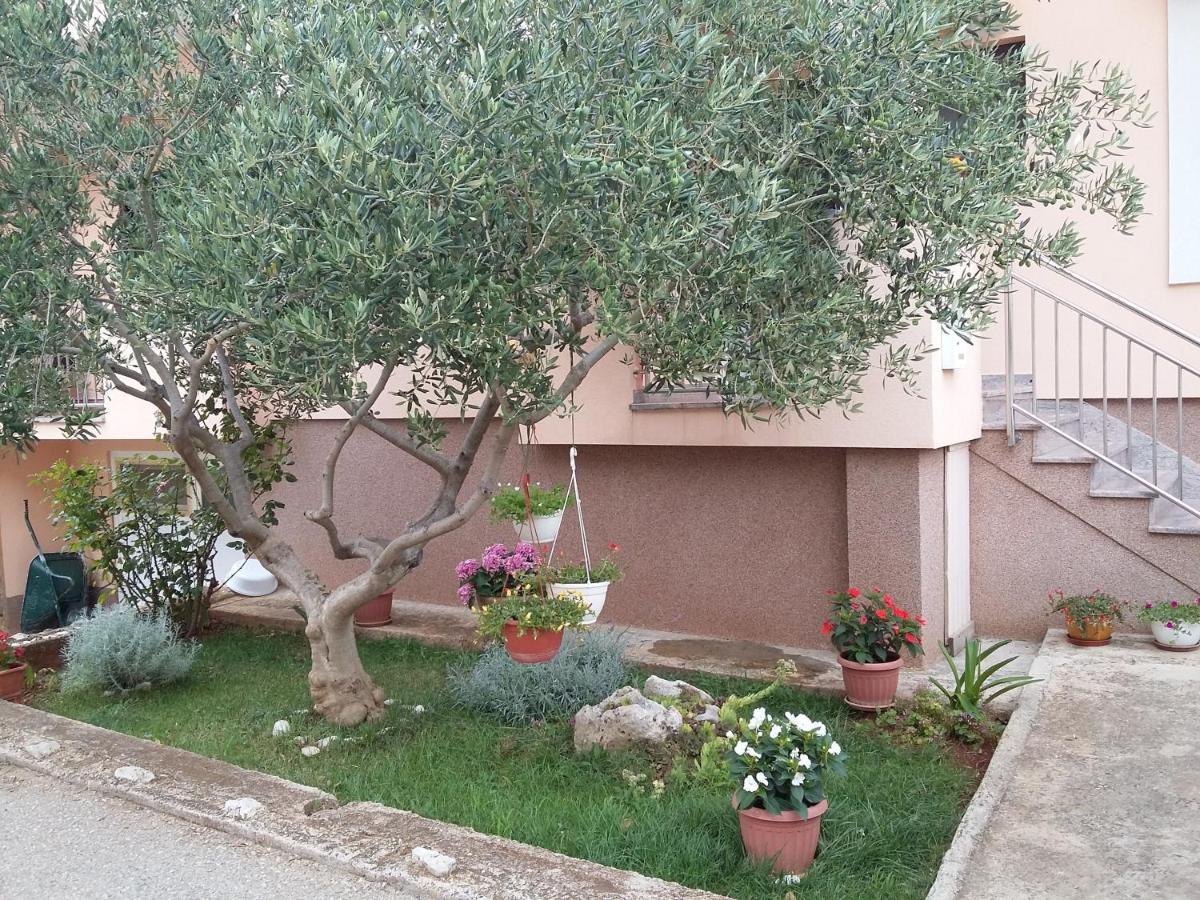 Apartments Ivan Zadar Zewnętrze zdjęcie
